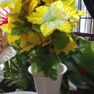 2 flowers verse